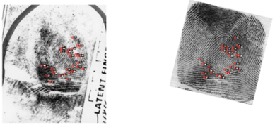 Hit detail – visual comparison
