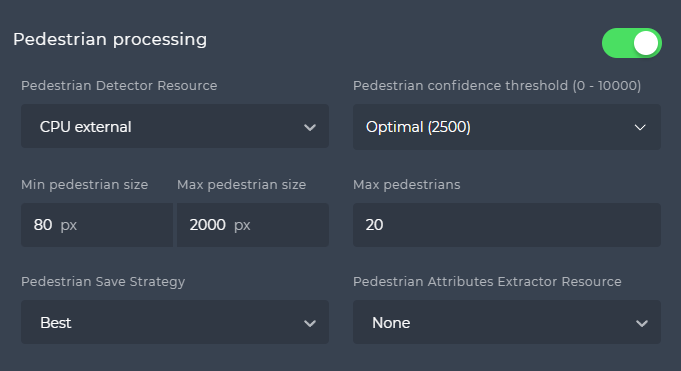 Pedestrian processing section