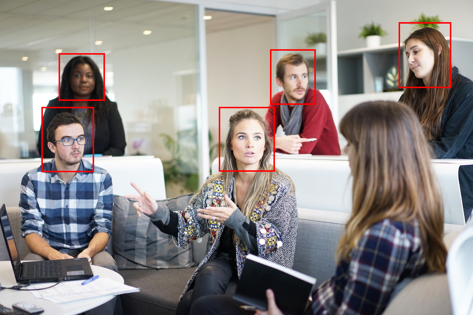 Face detection in an incoming frame