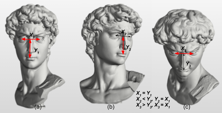 Face size is the maximum of the inter-eye distance and the eyes-to-mouth distance, shown on three head poses
